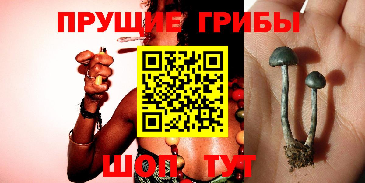 Галлюциногенные грибы MAGIC MUSHROOMS Красногорск