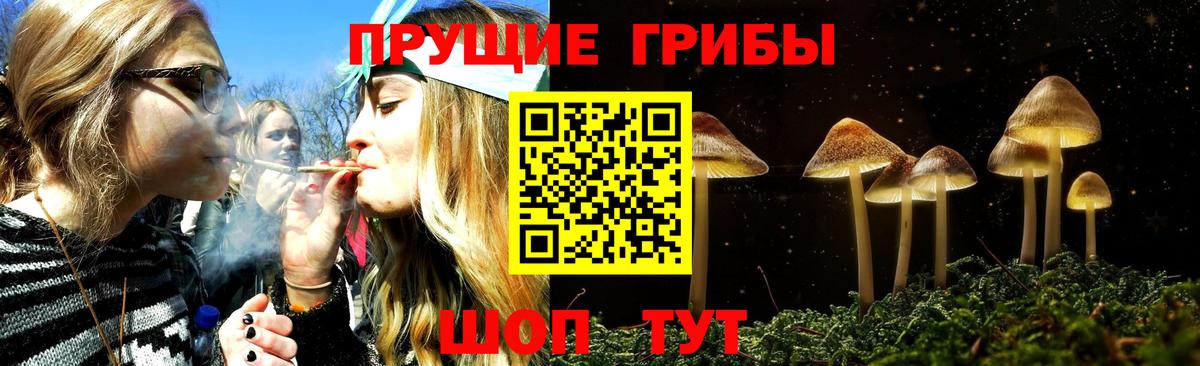 Красногорск  Псилоцибиновые грибы Magic Shrooms  Вход с VPN 
