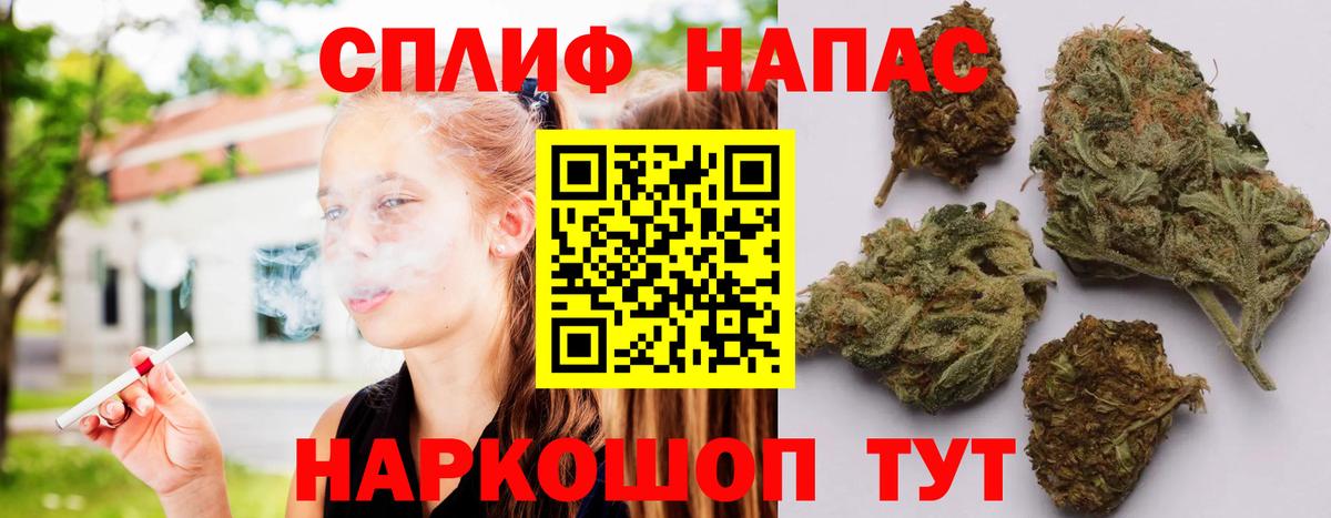 Бошки марихуана планчик Красногорск